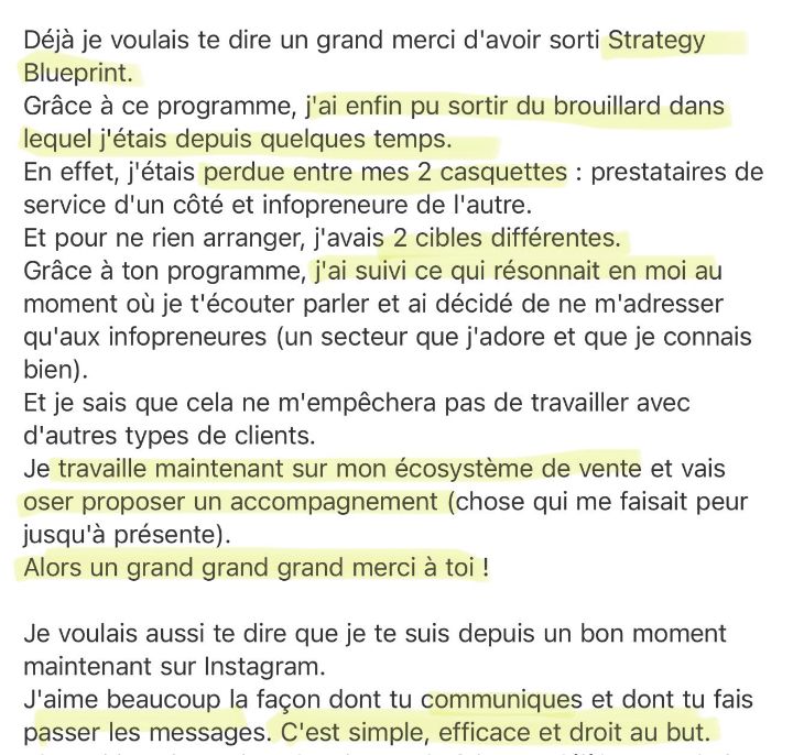 Message de Laëtitia sur Strategy Blueprint