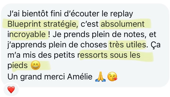 Message de Nathalie sur Strategy Blueprint